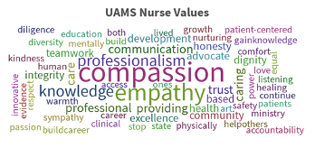 A cloud of words about the nursing profession