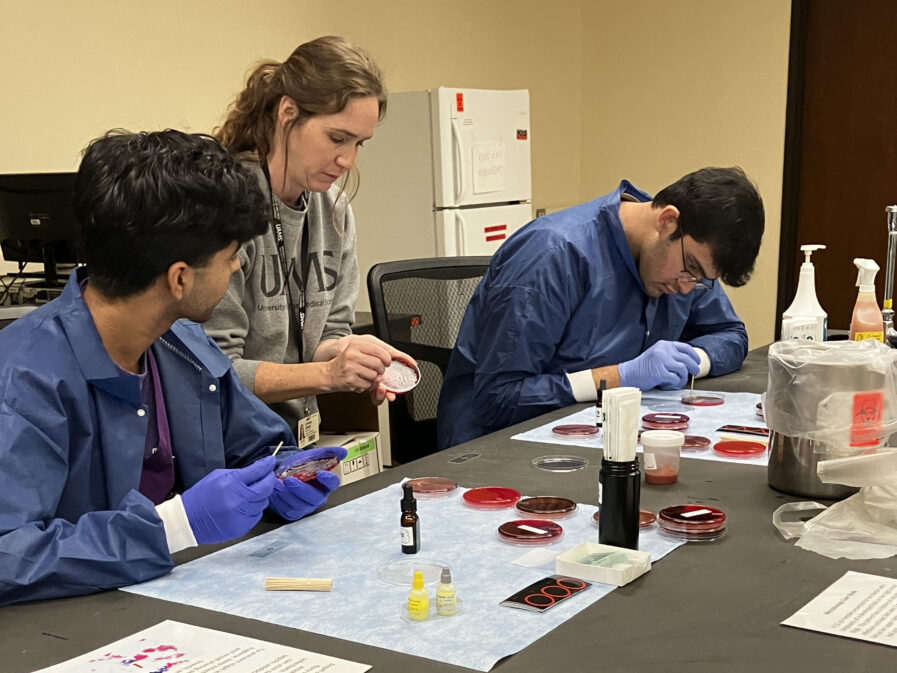 2024 healer program students learning microbiology