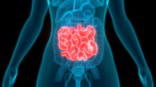 Small Intestine Scan