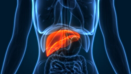Galbladder located in a human body